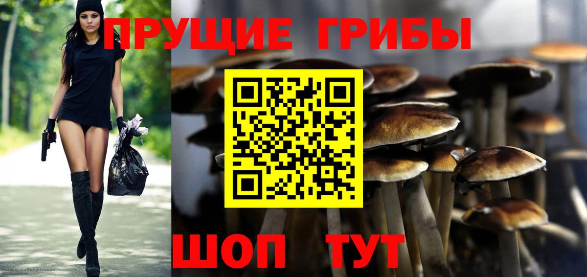 Псилоцибиновые грибы Magic Shrooms  Вход с VPN  закладки  Братск 
